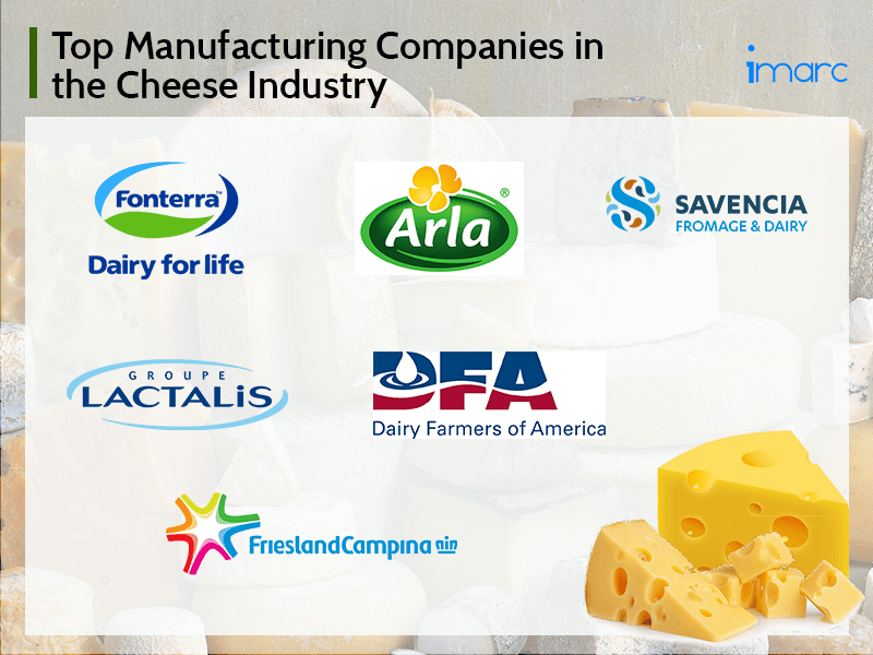 Top Cheese Manufacturers, Companies and Brands